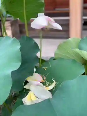 上行寺(静岡県)