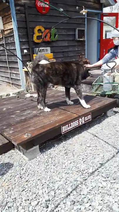 真狩神社の動物