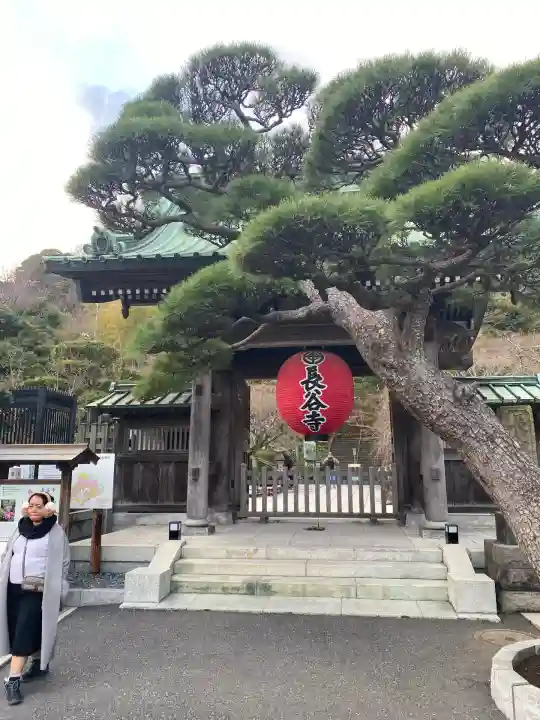 長谷寺(神奈川県)