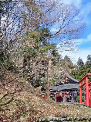 白狐山光星寺(山形県)