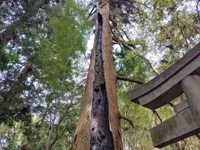 首塚大明神(京都府)