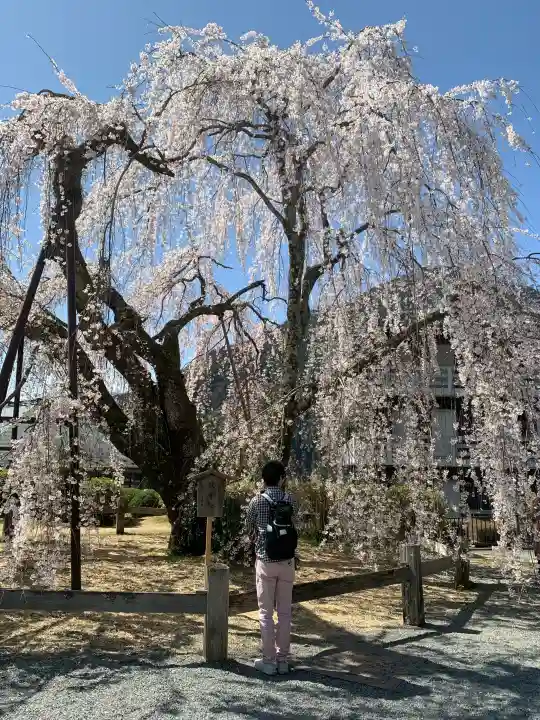 久遠寺の{uncategorized: "未分類", other: "その他", undefined: "問題あり", building: "その他建物", grave: "お墓", sacred_gate: "鳥居", guardian: "狛犬", statue: "像", buddha: "仏像", history: "歴史", nature: "自然", garden: "庭園", animal: "動物", pagoda: "塔", temizu: "手水舎", mountain_gate: "山門・神門", sanctuary: "本殿・本堂", subordinate: "末社・摂社", art: "芸術", scenery: "景色", jizo: "地蔵", ema: "絵馬", goshuin: "御朱印", omikuji: "おみくじ", items: "授与品その他", amulet: "お守り", goshuincho: "御朱印帳", eats: "食事", festival: "お祭り", votive_dance: "神楽", shichigosan: "七五三参", wedding: "結婚式", experience: "体験その他", initially: "初詣", around: "周辺", anti_infection: "感染症対策"}