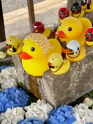 くろ谷 金戒光明寺の手水舎