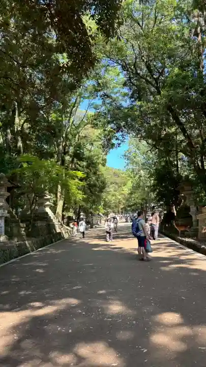 春日大社(奈良県)