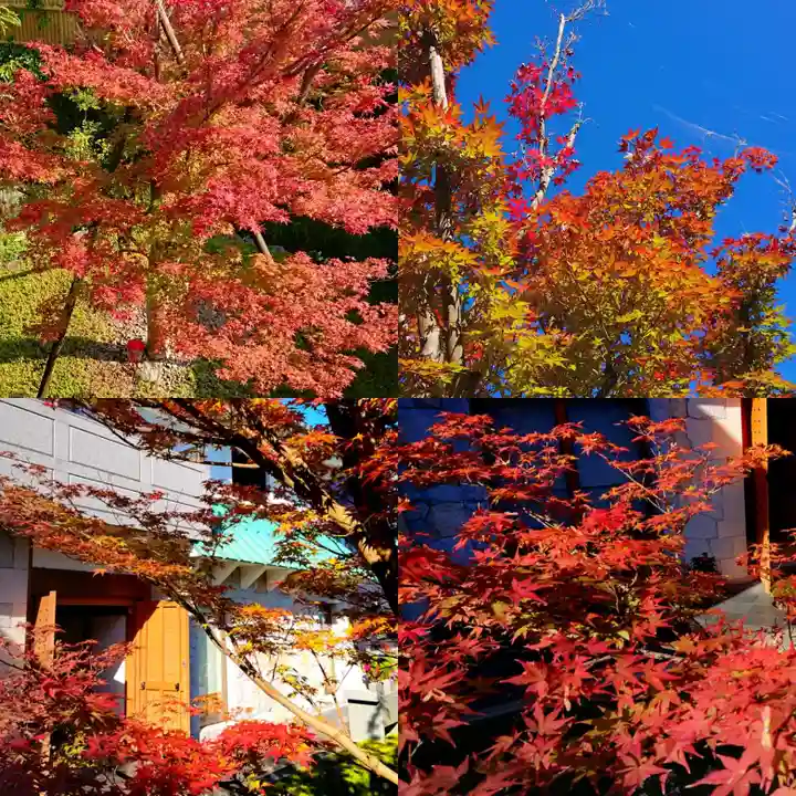 寿量山 速成寺の自然
