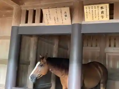 伊勢神宮内宮（皇大神宮）(三重県)