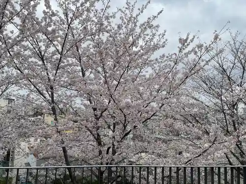 赤城神社の自然