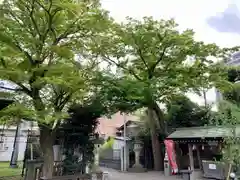 母智丘神社の周辺