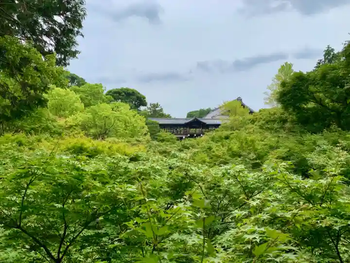 東福禅寺(東福寺)の景色