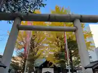 北海道神宮頓宮の鳥居