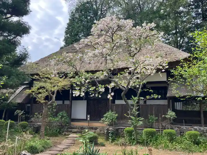大雄寺(栃木県)