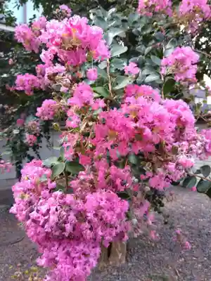 称名寺(福井県)