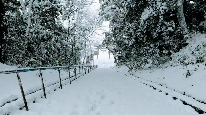 日本唯一香辛料の神 波自加彌神社の自然