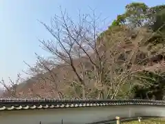 大山祇神社の建物その他