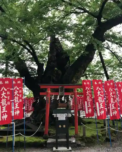 秩父今宮神社の自然