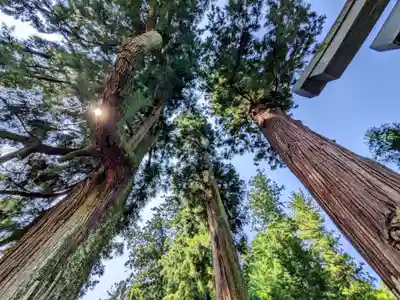 妙義神社(群馬県)