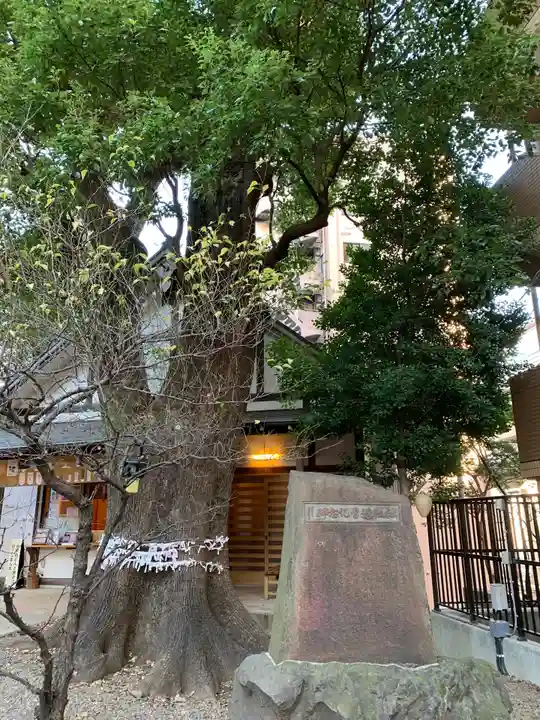 上目黒氷川神社(東京都)