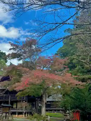 蚊里田八幡宮(長野県)