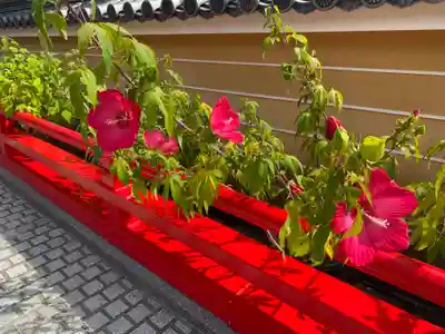 中山寺(兵庫県)