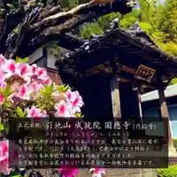 成田観音 円応寺の本殿・本堂