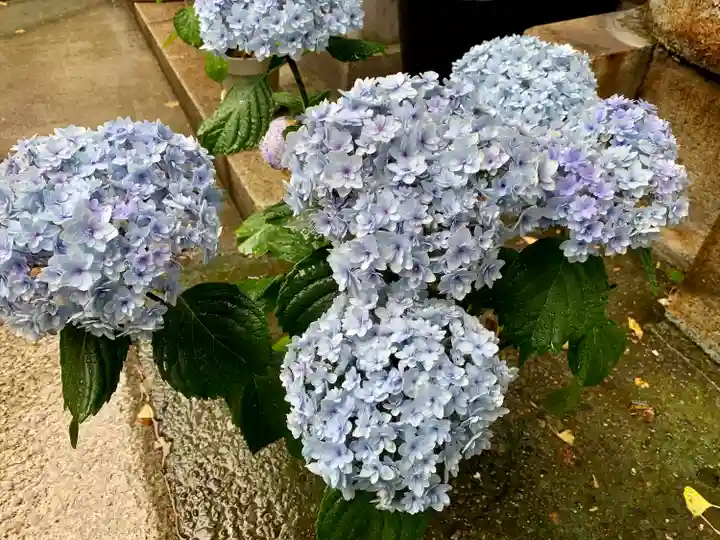 波除神社(波除稲荷神社)の手水舎