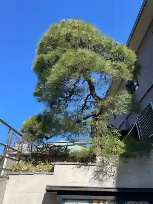 善仁寺(東京都)