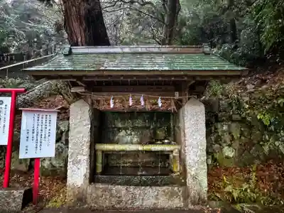 柞原八幡宮(大分県)