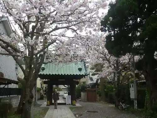 妙隆寺の山門