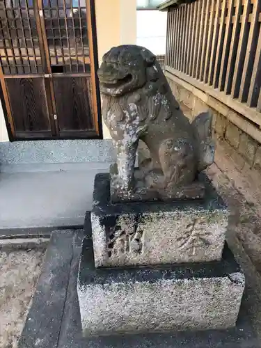 舞子六神社の狛犬