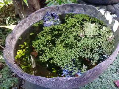 陽運寺(東京都)