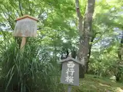 勝持寺（花の寺）の建物その他