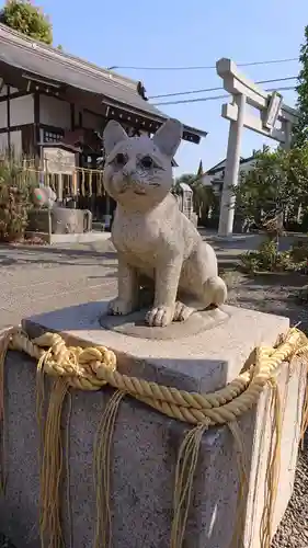 阿豆佐味天神社 立川水天宮の狛犬