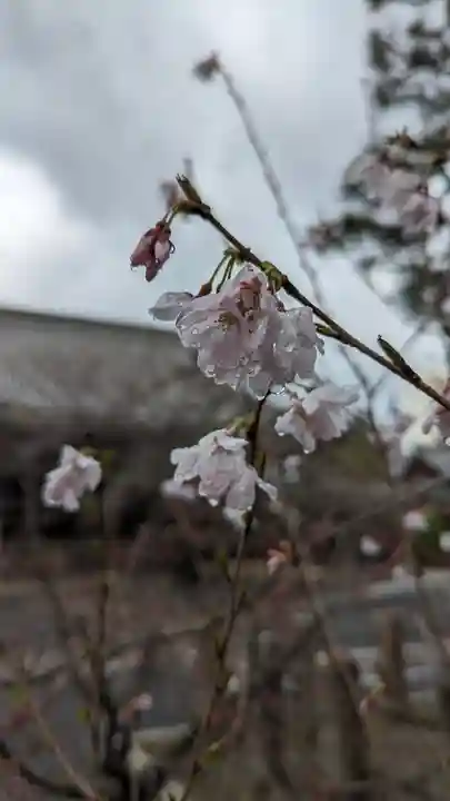 本法寺(京都府)