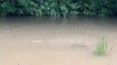 破磐神社(兵庫県)