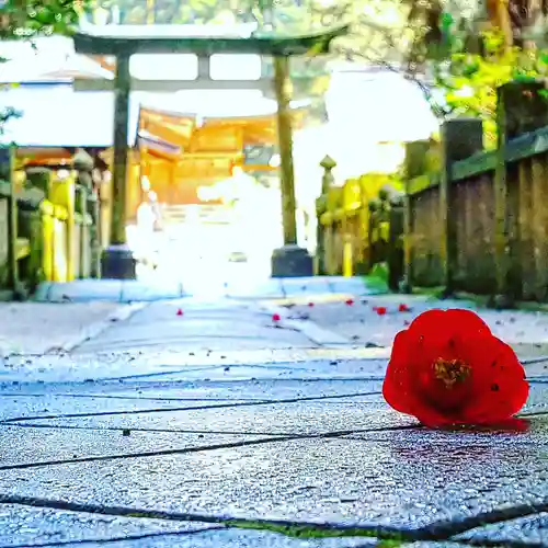 大水上神社の鳥居