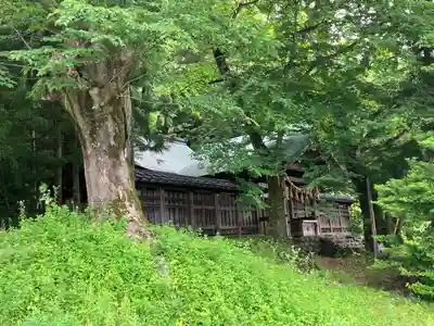 諏訪大社上社前宮(長野県)
