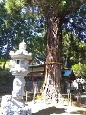 高倉神社(京都府)