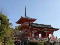 清水寺の{uncategorized: "未分類", other: "その他", undefined: "問題あり", building: "その他建物", grave: "お墓", sacred_gate: "鳥居", guardian: "狛犬", statue: "像", buddha: "仏像", history: "歴史", nature: "自然", garden: "庭園", animal: "動物", pagoda: "塔", temizu: "手水舎", mountain_gate: "山門・神門", sanctuary: "本殿・本堂", subordinate: "末社・摂社", art: "芸術", scenery: "景色", jizo: "地蔵", ema: "絵馬", goshuin: "御朱印", omikuji: "おみくじ", items: "授与品その他", amulet: "お守り", goshuincho: "御朱印帳", eats: "食事", festival: "お祭り", votive_dance: "神楽", shichigosan: "七五三参", wedding: "結婚式", experience: "体験その他", initially: "初詣", around: "周辺", anti_infection: "感染症対策"}