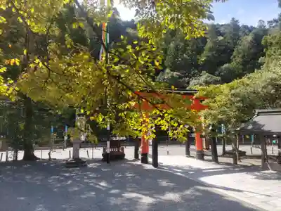丹生川上神社（中社）(奈良県)