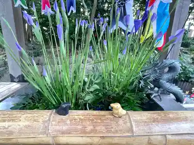 東海市熊野神社(愛知県)