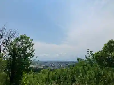 賀茂別雷神社(栃木県)