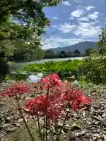 大覚寺(京都府)