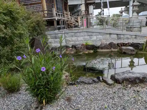 眞中神社(岐阜県)