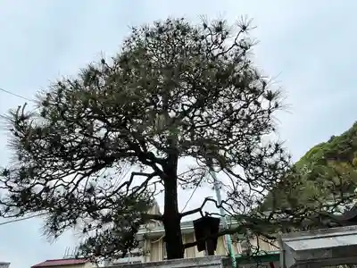 比治山神社(広島県)