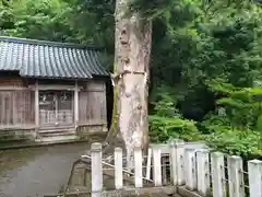 高雄神社(福井県)