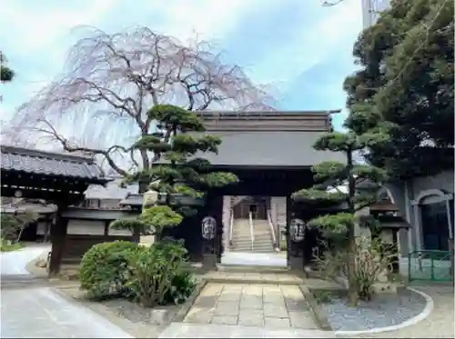 常圓寺の山門