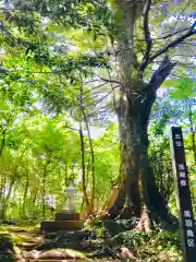 成田熊野神社(千葉県)