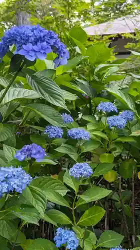 真正極楽寺（真如堂）(京都府)