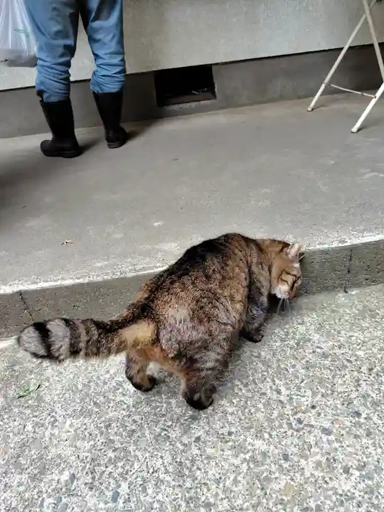 間々田八幡宮(栃木県)