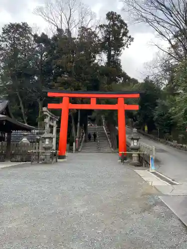 吉田神社の{uncategorized: "未分類", other: "その他", undefined: "問題あり", building: "その他建物", grave: "お墓", sacred_gate: "鳥居", guardian: "狛犬", statue: "像", buddha: "仏像", history: "歴史", nature: "自然", garden: "庭園", animal: "動物", pagoda: "塔", temizu: "手水舎", mountain_gate: "山門・神門", sanctuary: "本殿・本堂", subordinate: "末社・摂社", art: "芸術", scenery: "景色", jizo: "地蔵", ema: "絵馬", goshuin: "御朱印", omikuji: "おみくじ", items: "授与品その他", amulet: "お守り", goshuincho: "御朱印帳", eats: "食事", festival: "お祭り", votive_dance: "神楽", shichigosan: "七五三参", wedding: "結婚式", experience: "体験その他", initially: "初詣", around: "周辺", anti_infection: "感染症対策"}